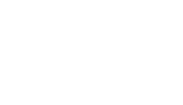 Logo Watermark
